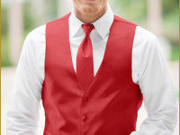 Fullback Vest Ferrari Red